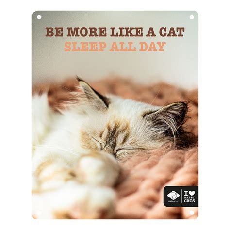 Sleeping Kitten Quotes