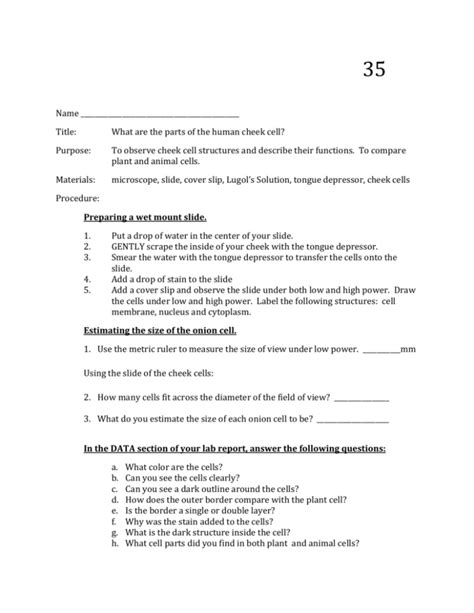 Cheek Cell Experiment Method 的图像结果