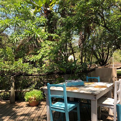 MAD DOGZ CAFÉ, Hoedspruit - Restaurant Reviews, Phone Number & Photos ...