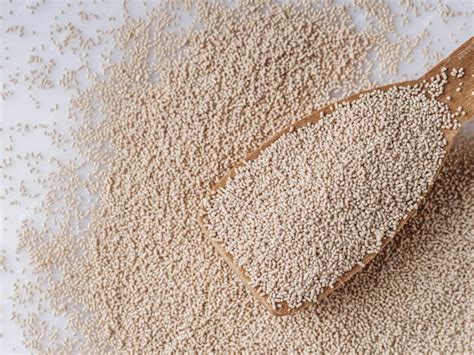 What is Active Dry Yeast and How To Use It? | Urban Platter