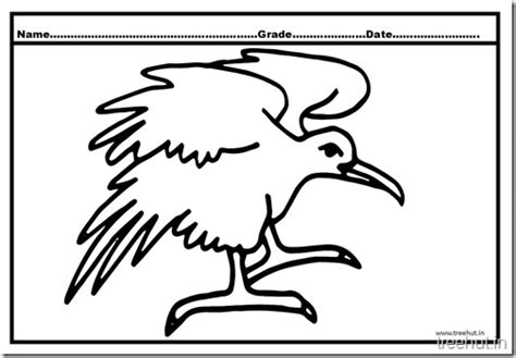 Eagle Coloring Pages