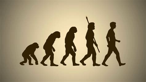 Image result for Accelerated Human Evolution