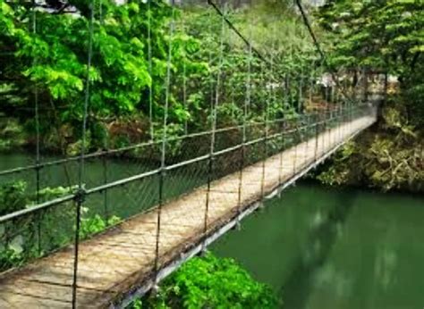 Matsyafed Aquarium, thenmala, India - Top Attractions, Things to Do ...