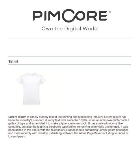 Image result for Pimcore PHP API