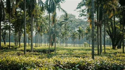 Best Places To Visit In Nepal: Kathmandu, Pokhara, Lumbini, And Beyond