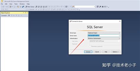 SQL Data Management 的图像结果