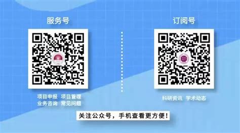 SCP 4307 的图像结果