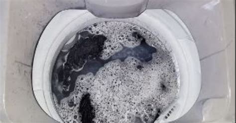 Washing Machine Won't Drain? 12 Things to Do - Plumbing Sniper