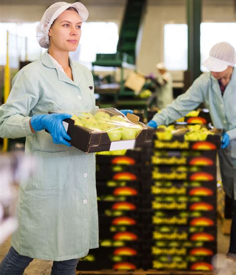 Food & beverage humidification