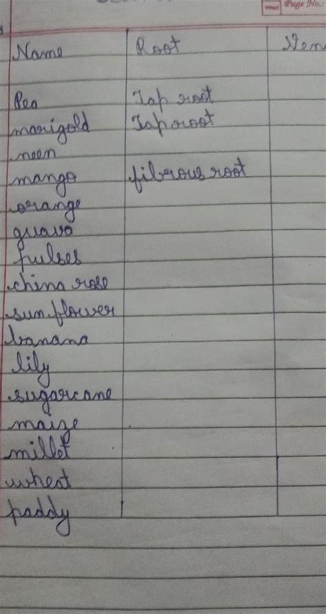 Name 1 Pea 2 marigold 3 neen 4 mange 5 orange 6 guava 7 pulses 8 china ...