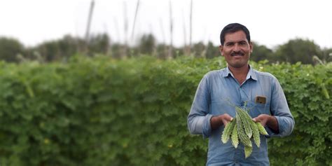 Agrostar | Farm advisory | Agriculture Inputs | Market Access ...
