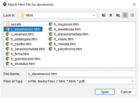 Image result for Lucid Press Tutorial