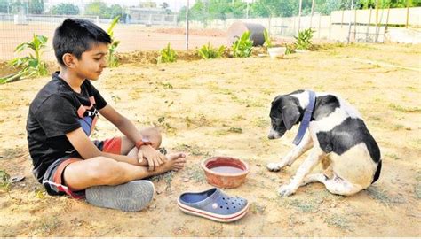 This 9 Year Old from Gurgaon Sells Books To Help Stray Dogs ...
