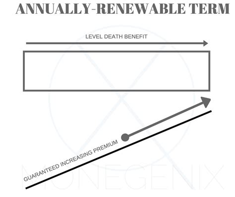 Term Life Insurance: Everything You Need To Know