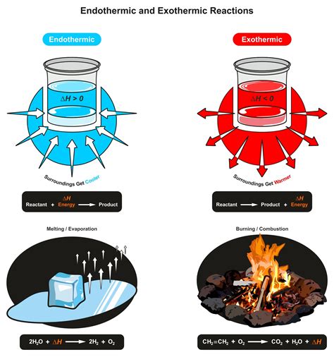 Exothermic Examples Exothermic & Endothermic Reactions Poster