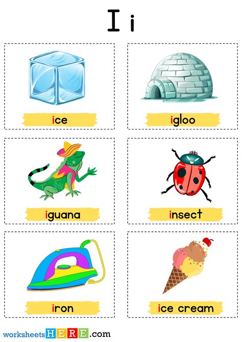Things That Start With i Letter with Pictures, Alphabet i Words ...