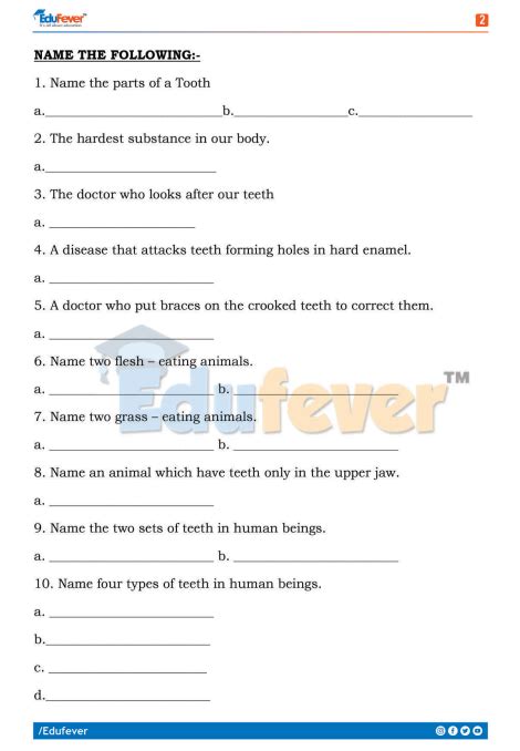 Image result for Class 4 EVS Worksheet
