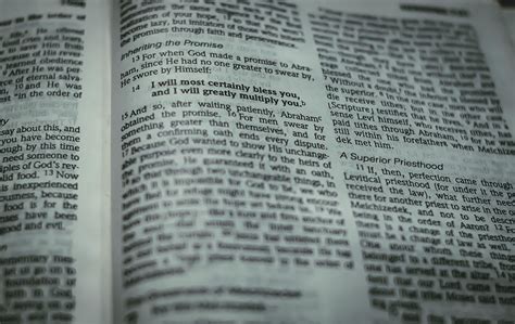 Image result for Scripture Bible Verses