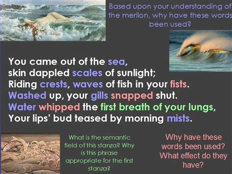 Poetry Lessons 的图像结果