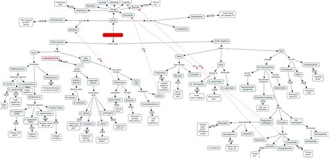 Microbiology Flow Charts Unknown Bacteria Flowchart By Elizabeth