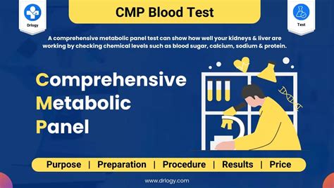 Image result for Normal CMP Values