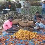 Uttar Pradesh | TRIFED - Tribes India | PMVDY