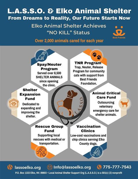 What is L.A.S.S.O.? Support Elko’s No-Kill Animal Shelter and Shelter Expansion — Elko Community Hub