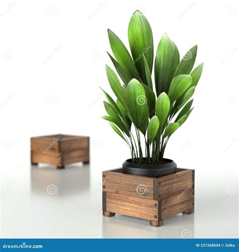 Two Wooden Raised Garden Beds with Plant . 3D Rendering Stock ...