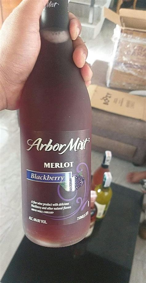 Arbor Mist Blackberry Merlot 750ml Wine - Boozy.ph