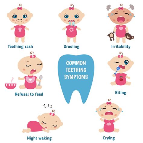 Teething Patterns in Babies: What Order Do First Teeth Come? - In The ...