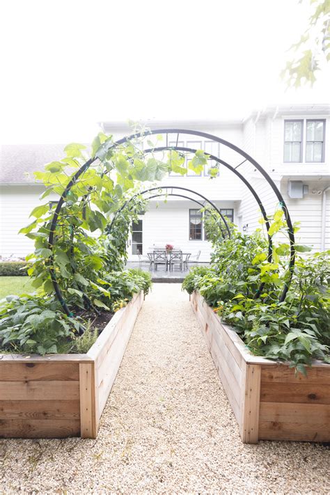 Gardenary's Modern Arch Trellis in Raised Garden Beds • Gardenary