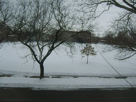 Ohio City Century Duplex, Upstairs Apartment - Apartments for Rent in ...