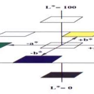 Image result for CIP Lab Color