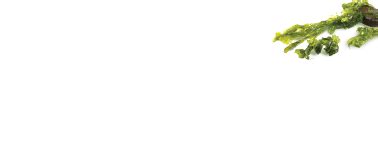 melts® Marvel Mighty Omega 3 Oral Strips With Lutein and Vitamin E ...