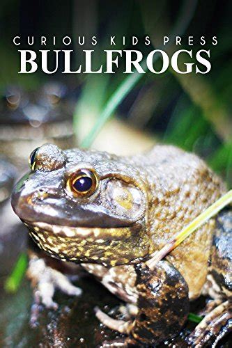 Bullfrogs - Curious Kids Press: Kids book about animals and wildlife ...