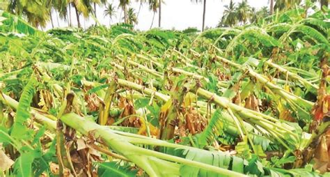 அரூர் பகுதியில் பலத்த காற்றுடன் இரண்டாவது நாளாக கனமழை - போக்குவரத்து ...