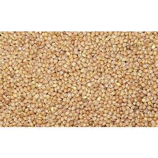 Kuthiraivaali Rice - Barnyard millet – SK Organic Farms