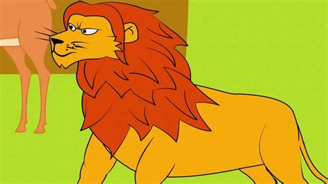 Le lièvre intelligent - TV5MONDE