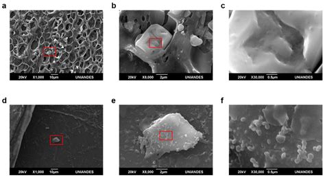 Enhanced Catalytic Dye Decolorization by Microencapsulation of Laccase ...