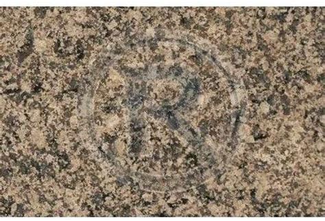 Desert Brown Granite Slab Manufacturers and Suppliers from Sikar