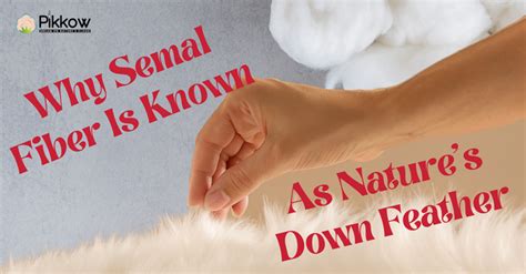 Why Semal Fiber Is Called Nature’s Down Feather