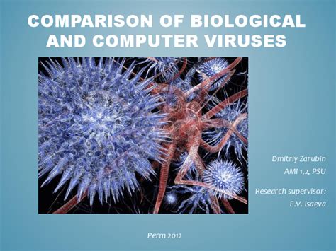 Image result for Comparison of computer viruses Computer Virus Effects
