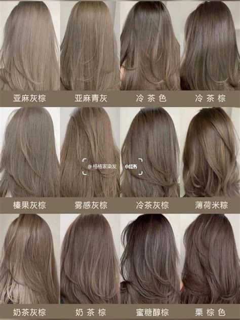 Pin by Giao Pham on Hair color in 2025 | Ash hair color, Ash brown hair ...