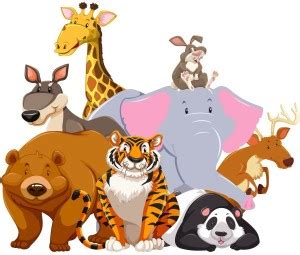 HAPPYSTICKY 50 cm Jungle Animals Medium Vinyl Wallsticker( 50 cm x 40 ...