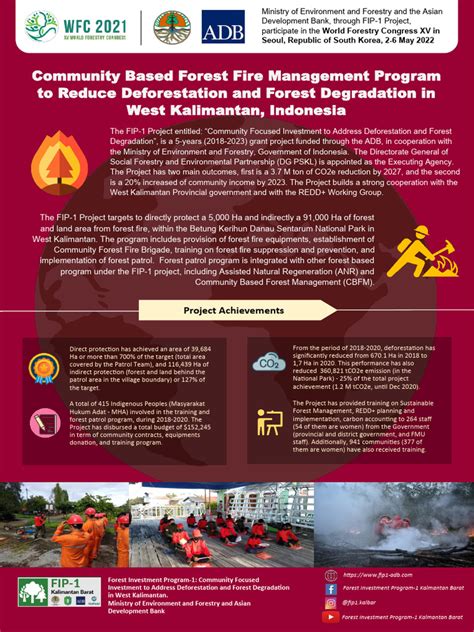 Image result for Forest Fire Project