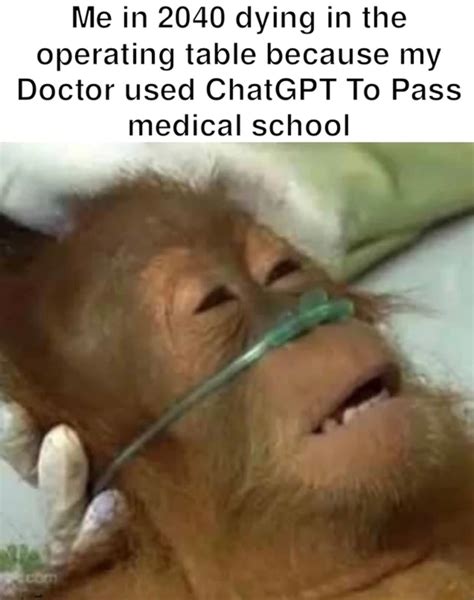 Dying Orangutan: Image Gallery (List View) (List View) | Know Your Meme
