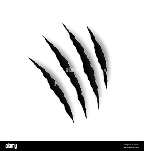 Beast claw marl scratches, tiger or animal paw nails marks, vector ...