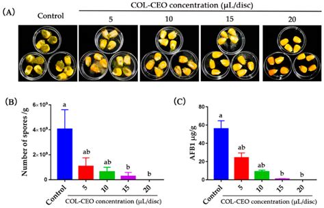 The Efficacy of Composite Essential Oils against Aflatoxigenic Fungus ...