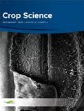CropScience 的图像结果