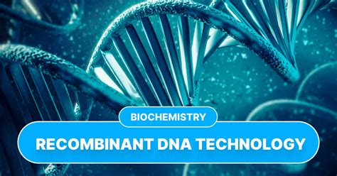 Recombinant DNA Technology 的图像结果